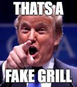 fake grill.jpg