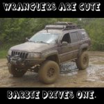 b1cfa2485dfdb2af58dc0c435656683e--jeep-wj-memes.jpg