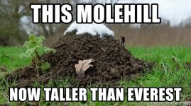 this-molehill-now-taller-than-everest.jpg