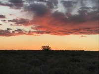 NMSunset6-24-19.jpg