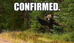 confirmed-just-tooka-dump-bear-meme-confirmed-48876680.png