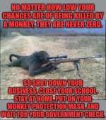 no-matter-how-low-chances-being-killed-by-monkey-never-zero-close-business-wear-monkey-protectio.jpg