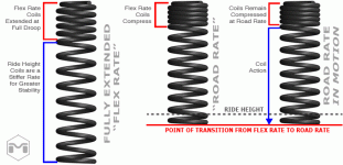 ss2001-What-is-Dual-Rate-Updated-1.gif