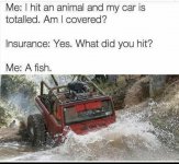 FISH.jpg