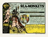 sea-monkeys.jpg