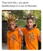 seamonkeys001.jpg