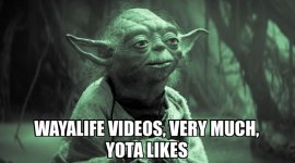wayalife-videos-very.jpg