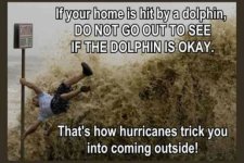 hurricane-dolphin-meme-610x407.jpg