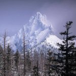 Three Fingered Jack.jpg