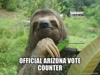official-arizona-vote.jpg