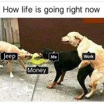 jeep.jpeg.95cc3626be0dfc8b8379530c913b0161.jpeg