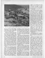 Washoe Jeepers_Page_3.jpg