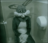 rabbit-bunny.gif