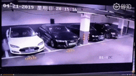 tesla_gif.gif