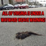 tumbleweave-penn-ave-bloomfield.jpg