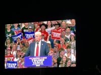 IMG_7522.jpeg