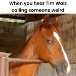 1723294434091.jpeg