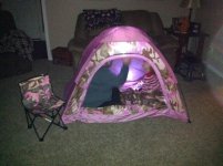 ImageUploadedByWAYALIFE1383617536.936395.jpg ImageUploadedByWAYALIFE1383617536.936395.jpg