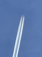 IMG_0294.jpeg