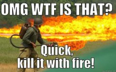 IMG_1060.jpeg