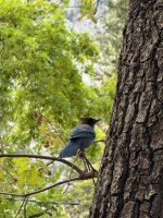 IMG_7567.jpeg