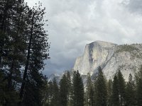 IMG_7557.jpeg