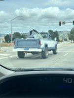 IMG_9810.jpeg