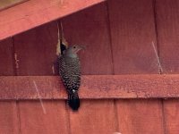 IMG_1399.jpeg