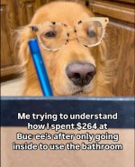 IMG_2986.jpeg
