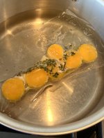 IMG_6163.jpeg