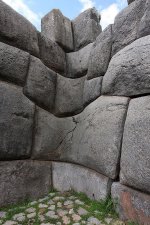 IMG_7040.jpeg
