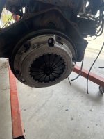 IMG_2814.jpeg