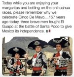IMG_7972.jpeg