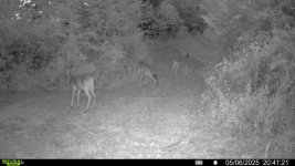 IMG_6032.jpeg