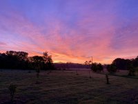IMG_6036.jpeg