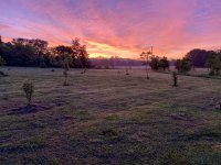 IMG_6037.jpeg