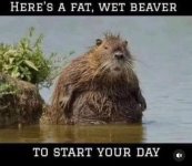 IMG_1122.jpeg