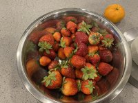 IMG_6045.jpeg