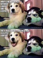 IMG_1130.jpeg
