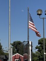 IMG_1137.jpeg