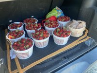 IMG_6061.jpeg