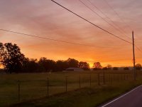 IMG_6078.jpeg