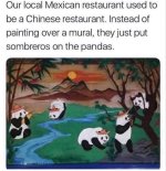 IMG_8323.jpeg