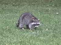 IMG_8346.jpeg