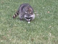 IMG_8354.jpeg