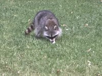 IMG_8355.jpeg