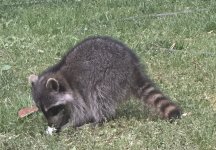 IMG_8359.jpeg