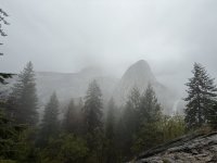 IMG_7716.jpeg