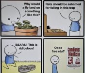 1000029595.jpg