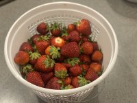 IMG_6127.jpeg